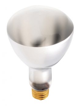 BULBS 75ER30 REFLECTOR FLOOD