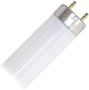 Fluorescent tube light bulb with two metal pins on one end.