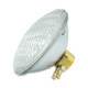 BULBS 200WATT PAR46