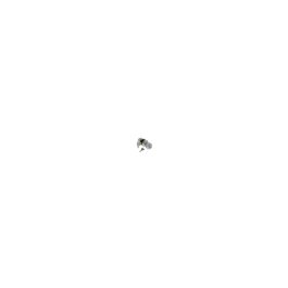 A solitary bee flying against a clear white background.