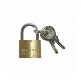 A brass padlock with keys on a white background.