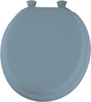 A closed blue toilet seat isolated on a white background.