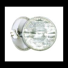 BULB 300WATT PAR56 FLOOD