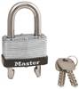 A padlock with a 'Master' label and two keys on a white background.