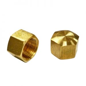 Two brass hexagonal plumbing caps on a white background.