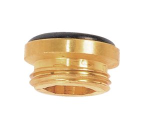 Brass threaded gas valve with black rubber seal on white background.