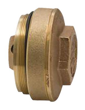 Brass check valve with threaded connections on a white background.