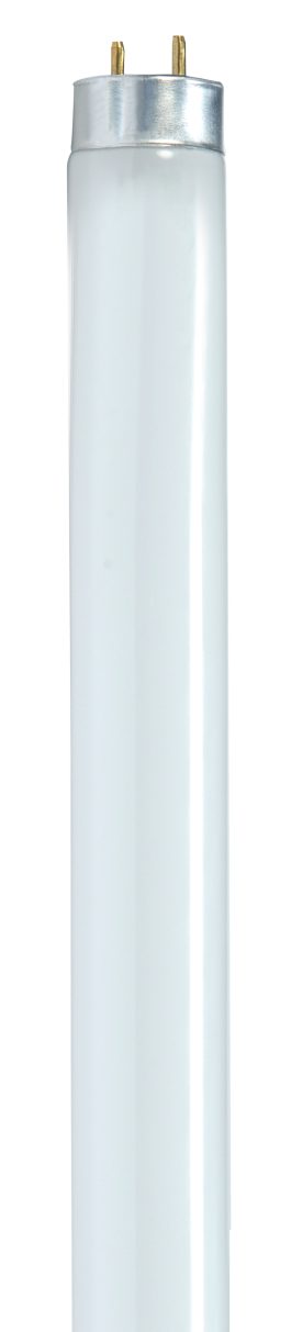 BULBS F32T8/TL/865 PLUS