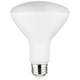 BULBS LED 10W BR30 2700K