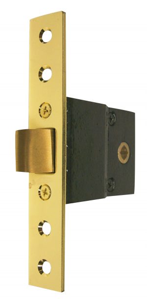 Gold-colored door latch hardware isolated on a white background.
