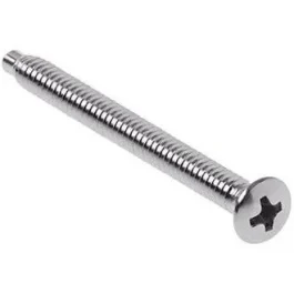 A close-up of a single metal screw with a Phillips head on a white background.