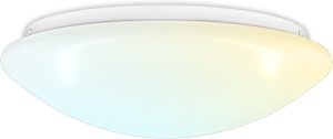 Ceiling-mounted LED light fixture with a frosted glass cover and white base.