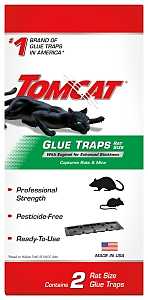 RAT GLUE TRAP 5.5X10.25 TOMCAT