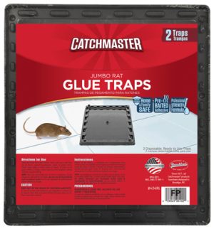 RAT GLUE TRAP JUMBO PK 2