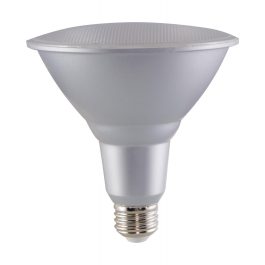 LED light bulb with a silver base on a white background.