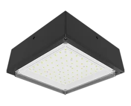RAB OUTDOOR LED CEILING FIXTURE