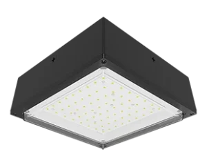 RAB OUTDOOR LED CEILING FIXTURE