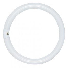 Circular fluorescent light tube on a white background.