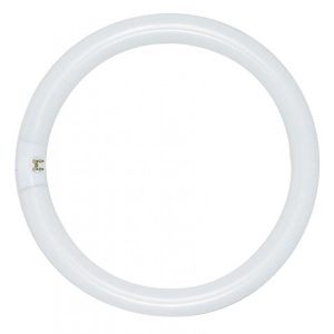 Circular fluorescent light tube on a white background.