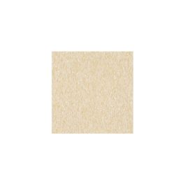ARMSTRONG VCT TILE 12X12