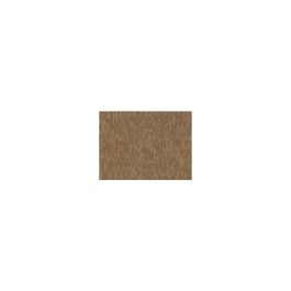 ARMSTRONG FLOOR TILE #51869
