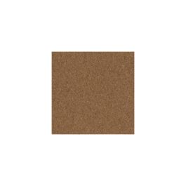 A plain corkboard texture with no objects or decorations.