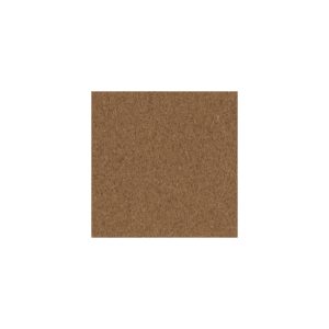 A plain corkboard texture with no objects or decorations.