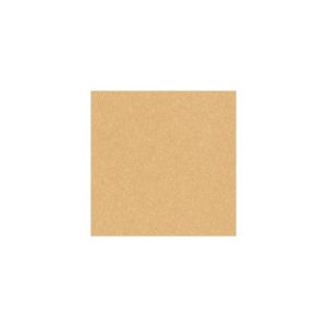 ARMSTRONG VCT TILE 12 X 12