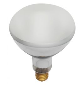 BULBS INCANDESCENT BR40 500W