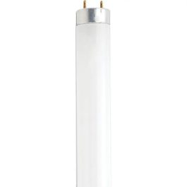 BULBS FLUOR F13T8 4100K