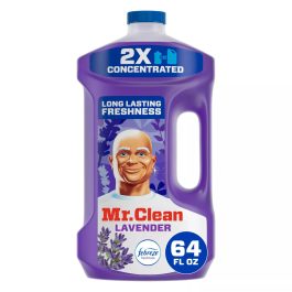 MR CLEAN ALL PURPOSE 64OZ