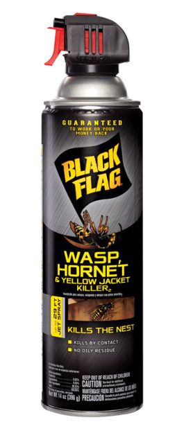 WASP & HORNET SPRAY 14OZ