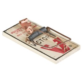 MOUSE TRAPS WOOD SPRING TYPE