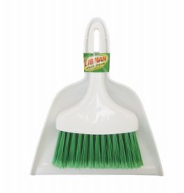WHISK BROOM/DUST PAN