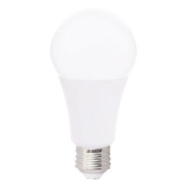 BULBS LED 22W A21 5000W