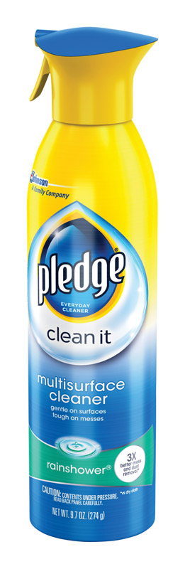 PLEDGE MULTI-SURFACE 9.7 OZ