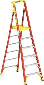 LADDER 6' PLATFORM TYPE 1A